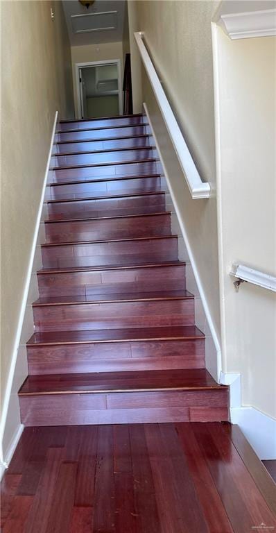 staircase featuring hardwood / wood-style floors