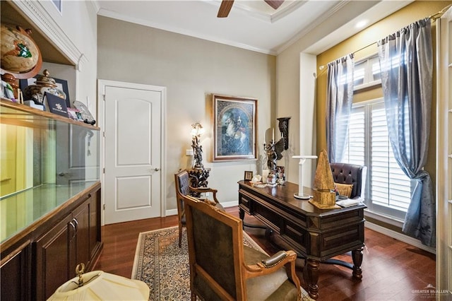 1901 Pecos St, Mission, TX 78572 - office space with ornamental molding, dark wood-style flooring, and ceiling fan