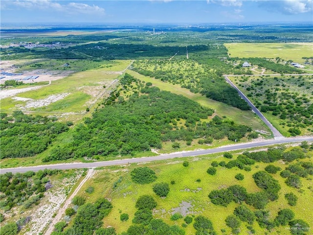 TR1 Nikki Rd, Rio Grande City, TX 78582 - photo 8