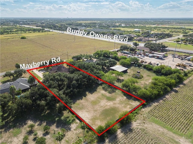 4417 N Mayberry Rd, Mission, TX 78573 - photo 36