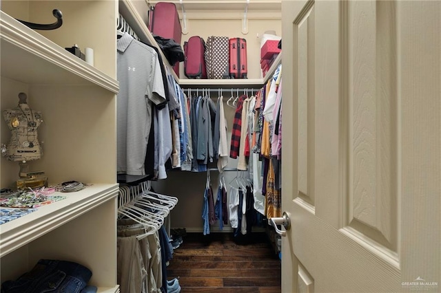 5109 Quince Ave, Mcallen, TX 78501 - walk in closet featuring wood finished floors