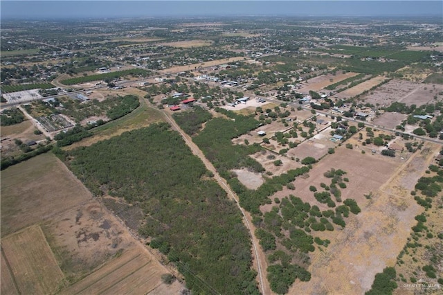 8610 Bentsen Palm Dr, Mission, TX 78574 - photo 13