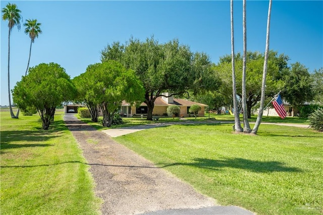5129 N Mile 5 1/2 Rd W, Weslaco, TX 78599 - view of property's community with a yard