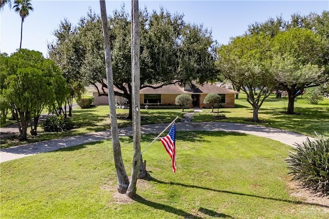 5129 N Mile 5 1/2 Rd W, Weslaco, TX 78599 - surrounding community featuring a yard