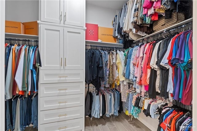 spacious closet with hardwood / wood-style flooring