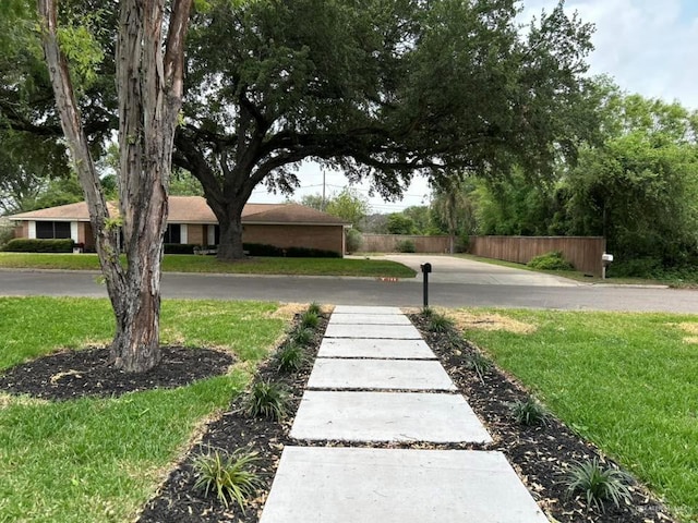 147 W Austin Blvd, Edinburg, TX 78539 - view of yard featuring fence