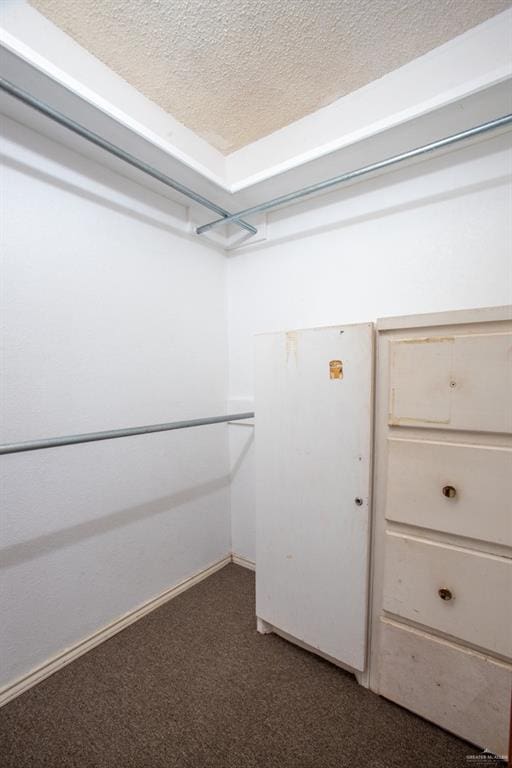 walk in closet with dark carpet