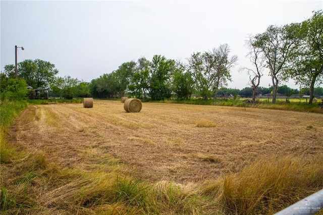 view of yard with a rural view