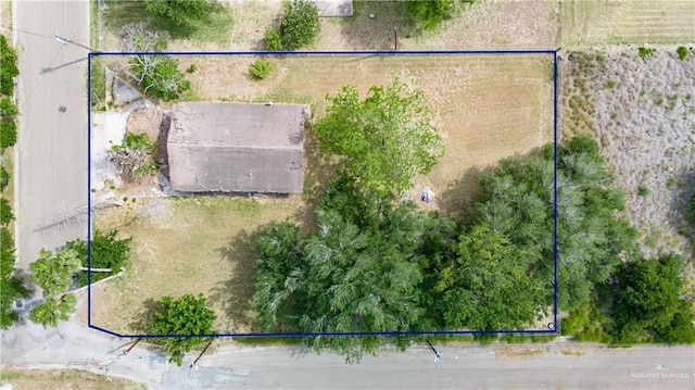 1202 S Tio Ave, Weslaco, TX 78596 - photo 15
