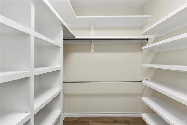 walk in closet featuring dark hardwood / wood-style floors