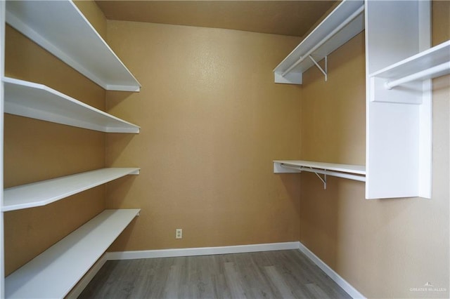 walk in closet with light hardwood / wood-style flooring