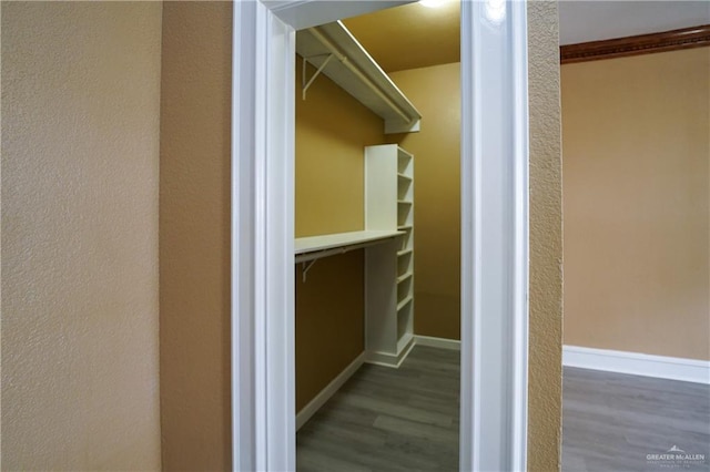 spacious closet featuring wood-type flooring