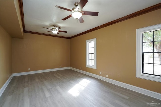 empty room featuring crown molding, ceiling fan, and light wood-type flooring