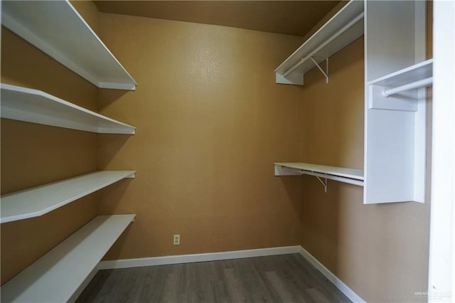 walk in closet with wood-type flooring