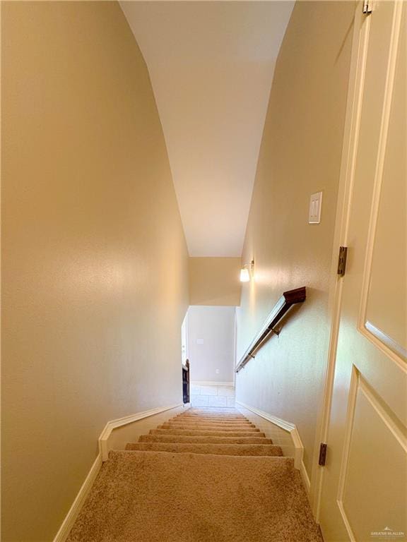 staircase featuring carpet