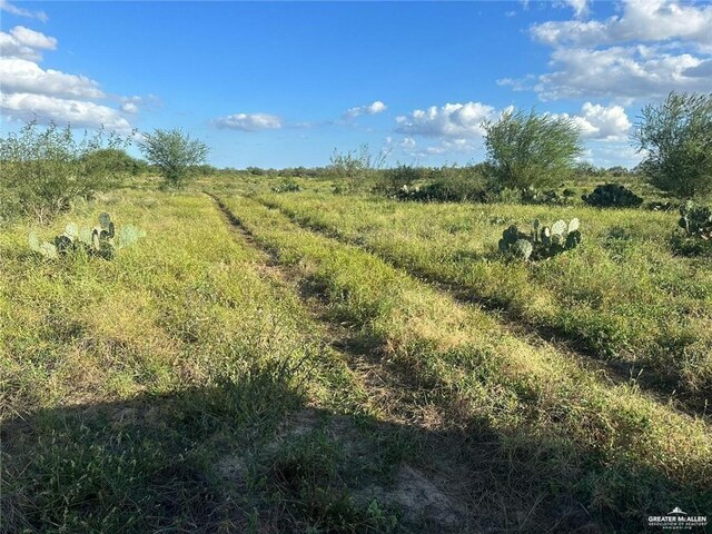 Listing photo 2 for TBD Fm 1418, Falfurrias TX 78355