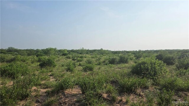 0 Las Escobas Rd, Roma, TX 78584 - photo 7
