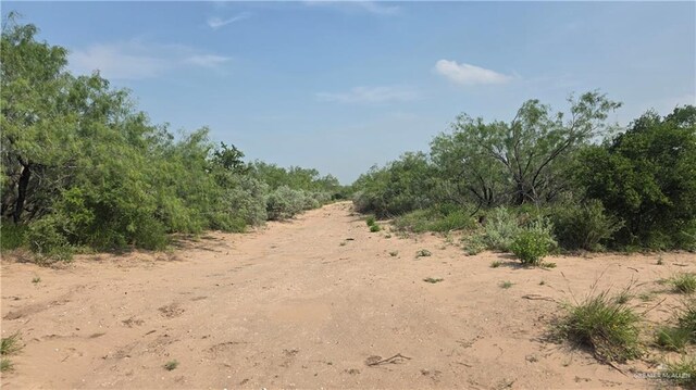 0 Las Escobas Rd, Roma, TX 78584 - photo 4