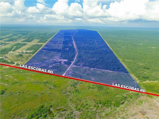 0 Las Escobas Rd, Roma, TX 78584 - photo 1