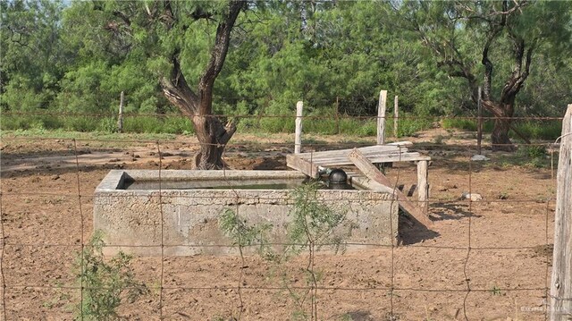 0 Las Escobas Rd, Roma, TX 78584 - photo 6