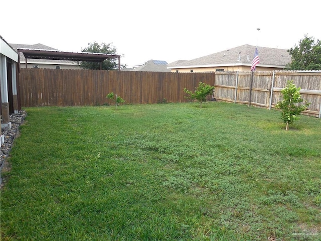 502 Castillos Y Diamantes St, Mission, TX 78572 - view of yard