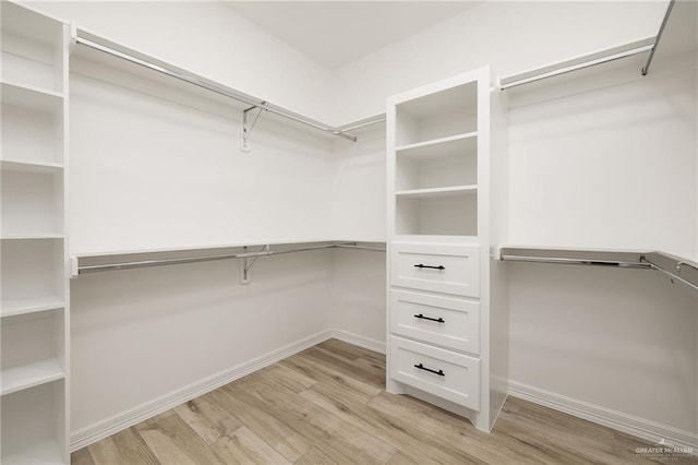 spacious closet featuring light hardwood / wood-style floors