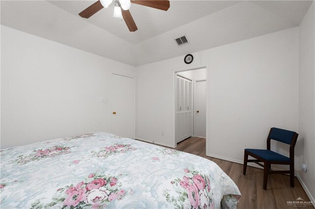 406 Sagittarius St, Mission, TX 78572 - bedroom with wood finished floors, lofted ceiling, ceiling fan, and a closet