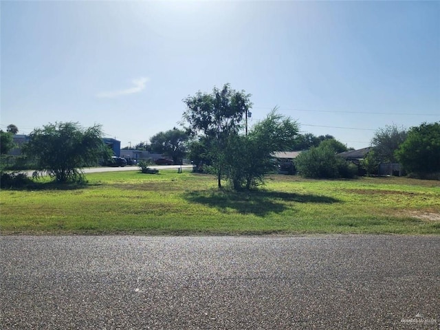 113 Flores St, Sullivan City, TX 78595 - photo 5