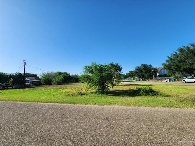 113 Flores St, Sullivan City, TX 78595 - photo 4