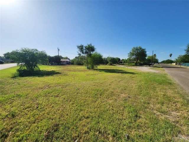 113 Flores St, Sullivan City, TX 78595 - photo 3