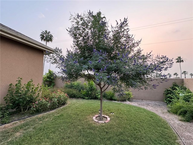 view of yard at dusk