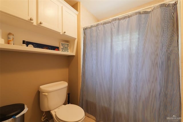 bathroom with toilet and a shower with shower curtain