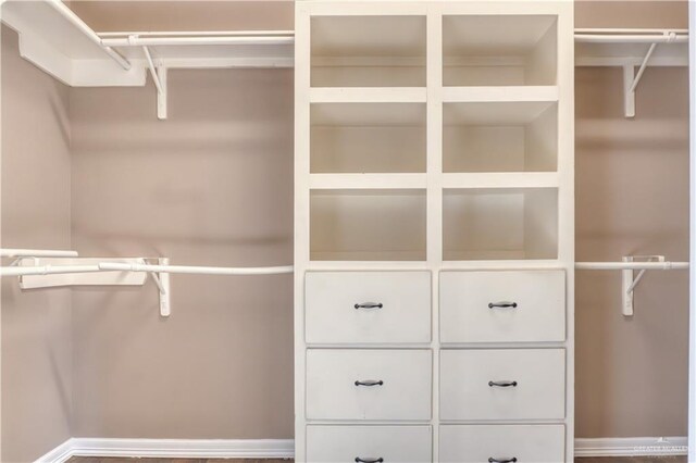 view of spacious closet