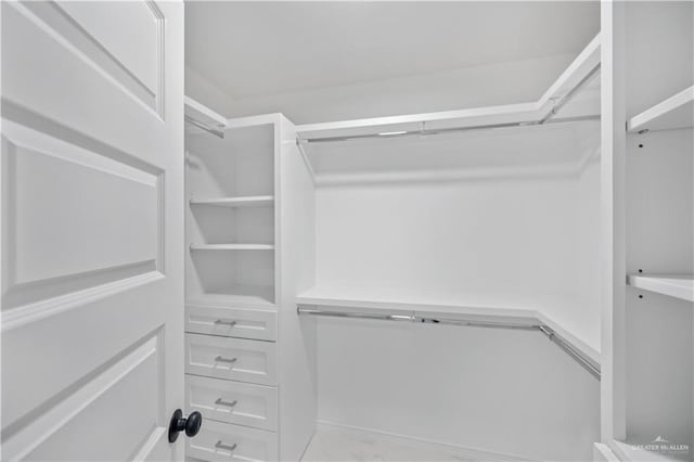 view of walk in closet