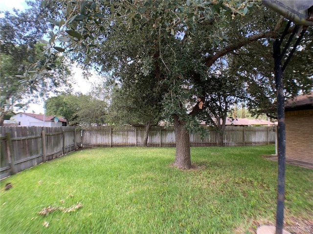 1802 N 17th St, Harlingen, TX 78550 - view of fenced backyard