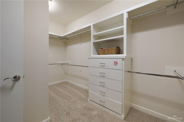 spacious closet featuring light carpet