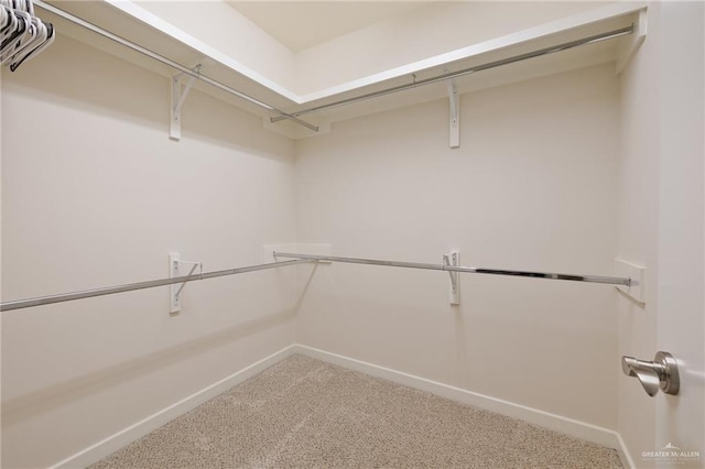 spacious closet featuring carpet floors