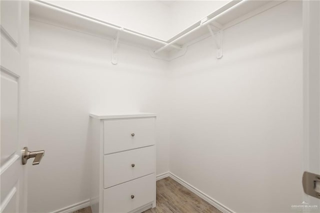 walk in closet featuring hardwood / wood-style flooring