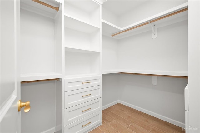 walk in closet with built in desk and light wood-type flooring