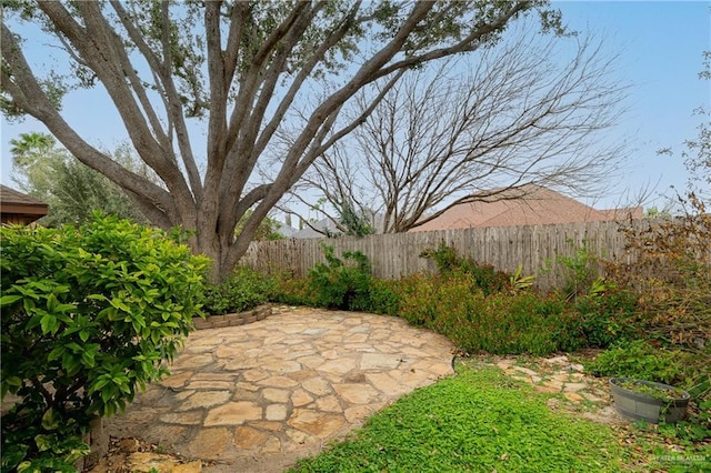 view of yard with a patio area and a fenced backyard