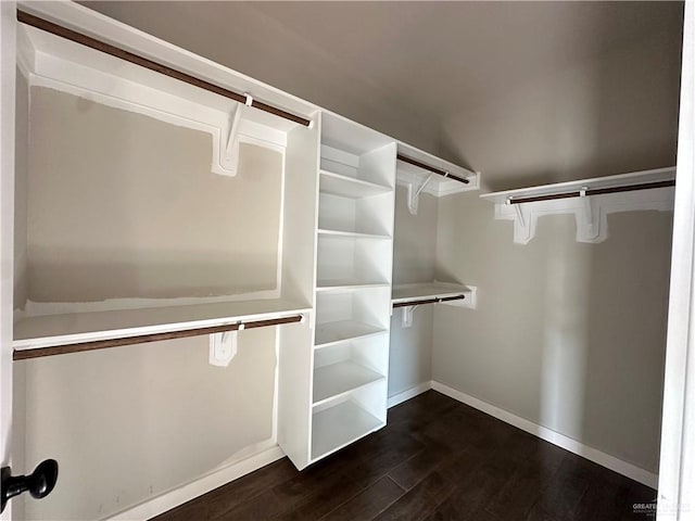 walk in closet with dark wood-type flooring