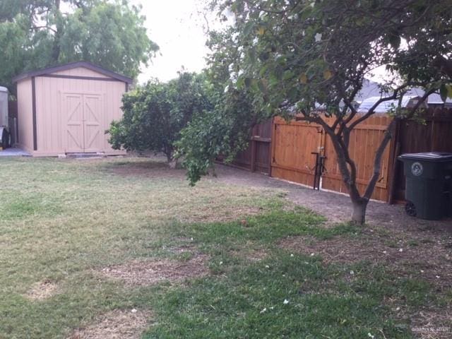 view of yard featuring a shed