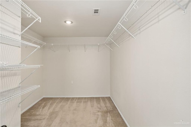 spacious closet with carpet floors