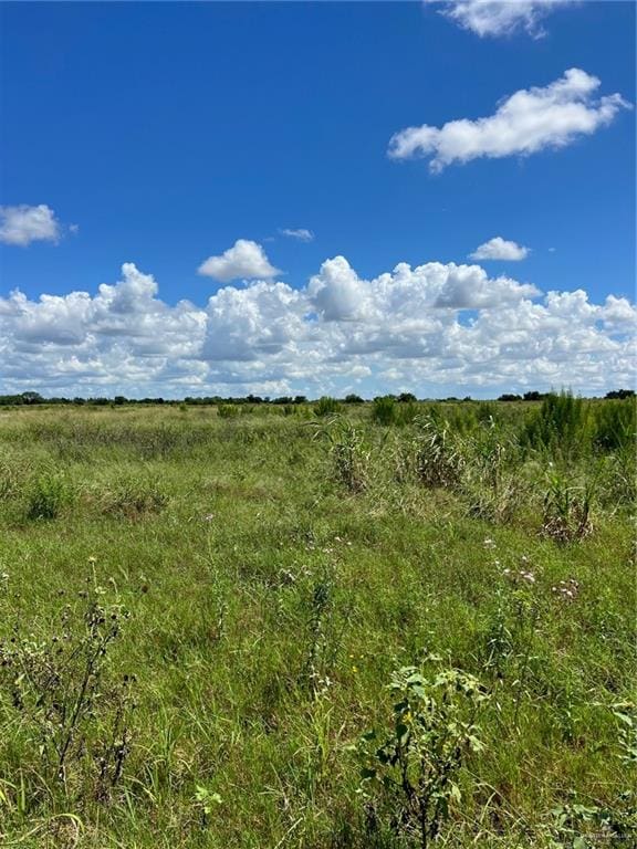 Listing photo 3 for 00 Davila Rd, Edinburg TX 78542