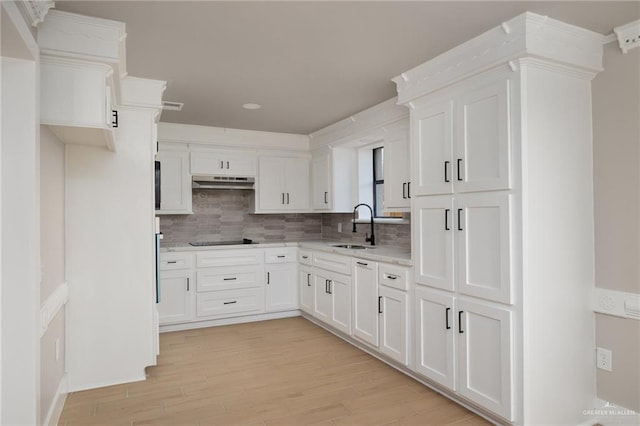 1817 Dolores Del Rio Ave, Mission, TX 78572 - kitchen featuring under cabinet range hood, a sink, black electric stovetop, light wood-style floors, and tasteful backsplash