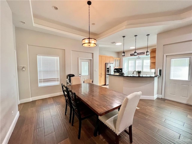 3530 Los Lagos Dr, Edinburg, TX 78542 - dining space featuring baseboards, dark wood-style flooring, a tray ceiling, and recessed lighting