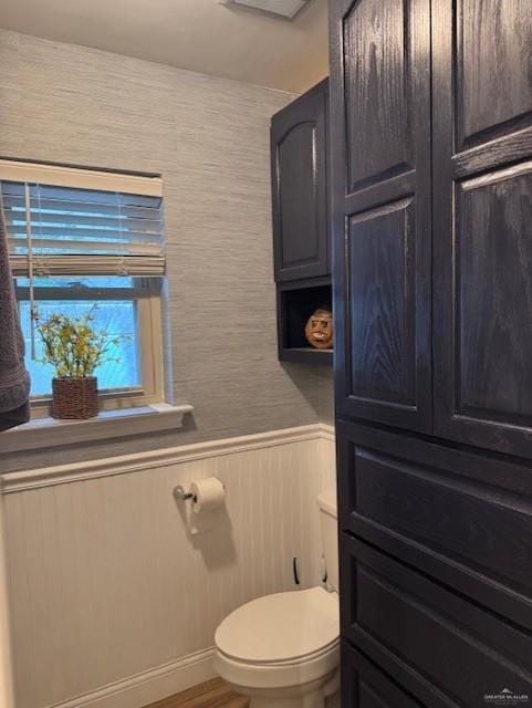 bathroom with wood-type flooring and toilet