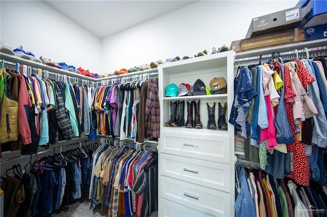 view of spacious closet