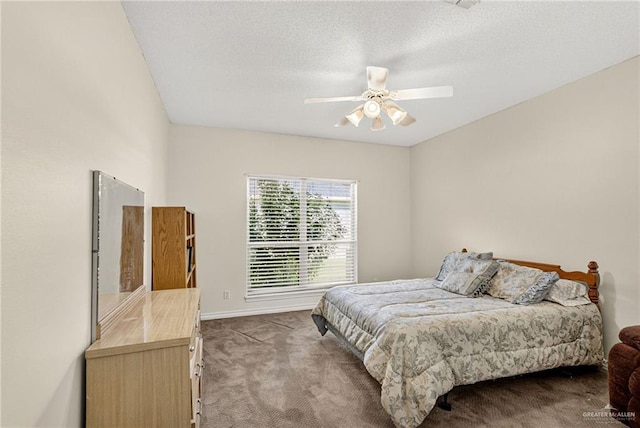 4212 Whitewing Ave, Mcallen, TX 78501 - photo 19