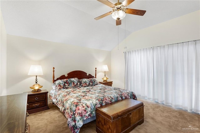 4212 Whitewing Ave, Mcallen, TX 78501 - photo 16